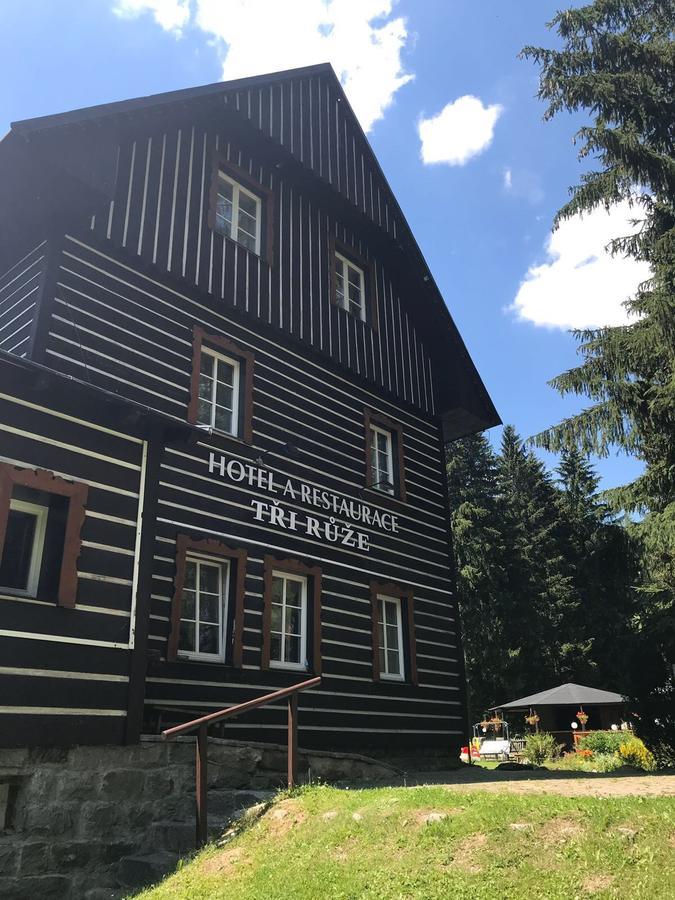 Hotel Tri Ruze Špindlerŭv Mlýn Exterior foto